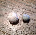 IMG_20180121_134550448~2.webp