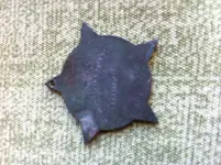 photo (4).webp