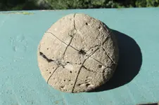 grindingrock 002.webp grindingrock 002.webp
