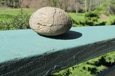 grindingrock 003.webp grindingrock 003.webp