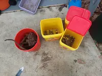 20180127_152649.webp
