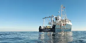 Boksa Marine.webp