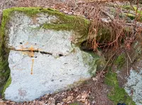 20180224_111304.webp