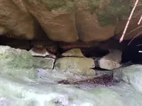 20180224_111320.webp
