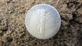 eagle button and other stuff 003.webp