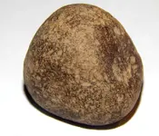 DSCN8610.webp