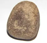 DSCN8611.webp