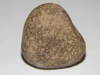 DSCN8616.webp