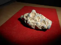 DSCN1983.webp