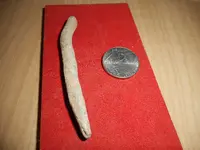 DSCN1948.webp