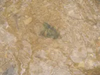 DSCF2835.webp