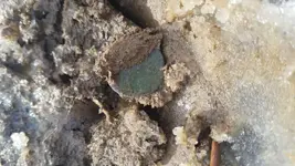 IMG-20180128-WA0007.webp