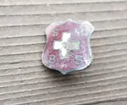Swastika 5.webp