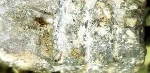 20180128_153822.webp