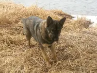 20180121_131153.webp
