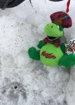 RFsgAgV-Nessie2-18-18.webp