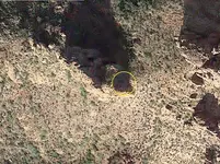 Polka mine.webp
