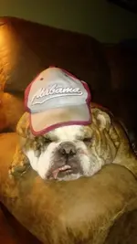 20180122_194541.webp