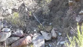 20171013_134159.webp
