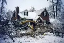 ice storm5.webp