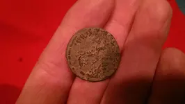 IMAG1975.webp