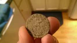 IMAG1976.webp