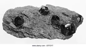 garnet in schist.webp