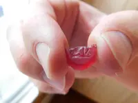 DSCN0004.webp