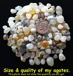 AGATE-04.webp