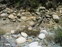 191_9114.webp