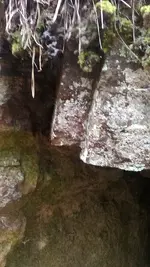 KIMG0081.webp