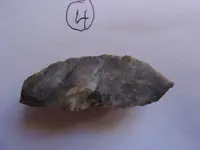 100_0042.webp