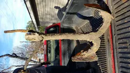 20180128_153914.webp