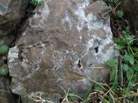 DSCF5535.webp