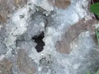 DSCF5580.webp