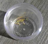 P1200007.webp