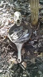 Skull Pan.webp