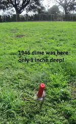 6 silver coins in baseball field 007.webp