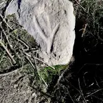 1Ahk18.webp