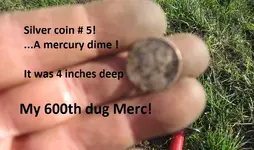 6 silver coins in baseball field 015.webp