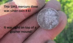 6 silver coins in baseball field 017.webp