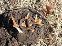 20180225_120957.webp