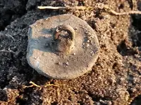 20180225_171117.webp