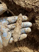 20170323_132044.webp