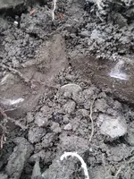 20180218_132356.webp