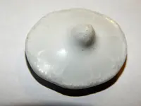DSCN8618.webp