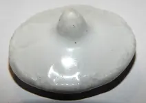 DSCN8619.webp
