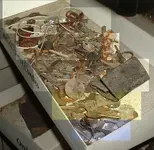 DSCF0002.webp