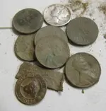 mdfinds.webp