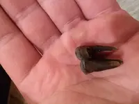 20180218_190643.webp